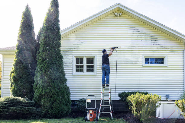 Best Fence Cleaning  in Dortches, NC